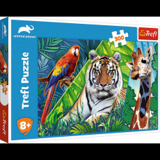 PUZZLE TREFL 300 ANIMAL PLANET UIMITOARELE ANIMALE SALBATICE