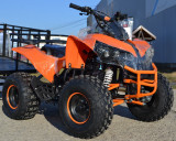 Atv Warrior 125Cc