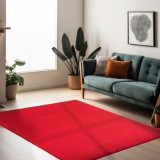 Cumpara ieftin Covor Sky V1 Rosu 120 x 170cm