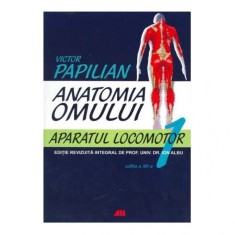 Anatomia omului. Aparatul locomotor - Victor Papilian, Ion Albu (Vol. 1 ) foto