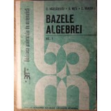 BAZELE ALGEBREI VOL.1-C. NASTASESCU, C. NITA, C. VRACIU-307805