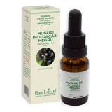 CONCENTRAT MUGURI COACAZ NEGRU 15ML, Plantextrakt