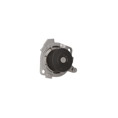Pompa apa LANCIA LYBRA 839AX AIRTEX 1541 foto