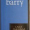 Calea cea lunga &ndash; Sebastian Barry