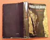 Aventuri sub pamant. Editura Stiintifica, 1964 - Norbert Casteret