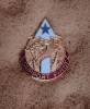 QW9 N5 54 - insigna - tematica militara - intai suportul, America de Nord