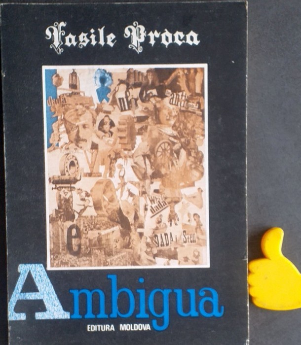 Ambigua Vasile Proca