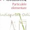 Particulele Elementare - Mighel Houellbecq