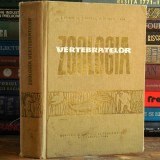 Cumpara ieftin Zoologia Vertebratelor - Z. Feider, Al. V. Grossu, St. Gyurko, V. Pop