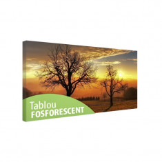 Tablou canvas fosforescent Trees in the sunset, 80x40 cm foto