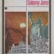 SARUTUL LUI SALOMY JANE. PROZA AMERICANA DIN A DOUA JUMATATE A SECOLULUI AL XIX-LEA-COLECTIV-169440