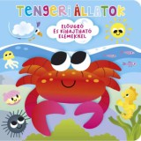 Ki b&uacute;jt el? Tengeri &aacute;llatok