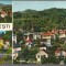 CPIB 15390 - CARTE POSTALA - OLANESTI, MOZAIC