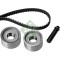 Kit distributie Ina 530060110