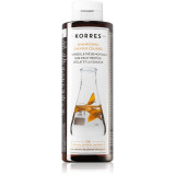 Korres Sunflower and Mountain Tea șampon pentru păr vopsit 250 ml