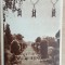 QW23 B - Carte postala - tematica turism - vedere - Romania - Bucuresti 223