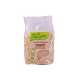 Duo Fulgi de Ovaz si Hrisca Bio Fara Gluten Ma Vie Sans Gluten 400gr