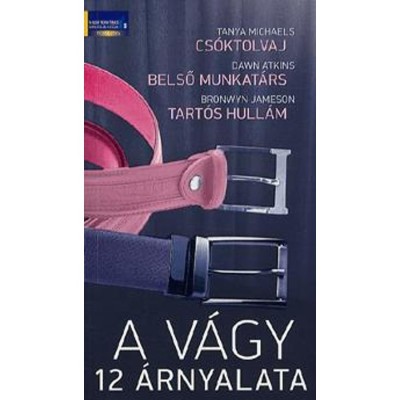 A v&amp;aacute;gy 12 &amp;aacute;rnyalata - Cs&amp;oacute;ktolvaj - Belső munkat&amp;aacute;rs - Tart&amp;oacute;s hull&amp;aacute;m - Michaels Tanya foto