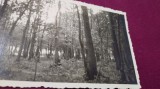 Cumpara ieftin FOTO TIP 9/6 PADUREA BANEASA 1943