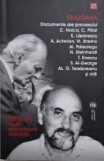 Prigoana. Documente ale procesului C. Noica, C. Pillat, S. Lazarescu, A. Acterian, Vl. Streinu, Al. Paleologu, N. Steinhardt, T. Enescu, S. Al-George,