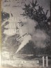 GRADINA, VIA SI LIVADA, REVISTA DE STIINTE SI PRACTICA HORTIVITICOLA, NOIEMBRIE 1964-COLECTIV-233390