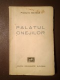 Preotul C. Matasă - Palatul cnejilor