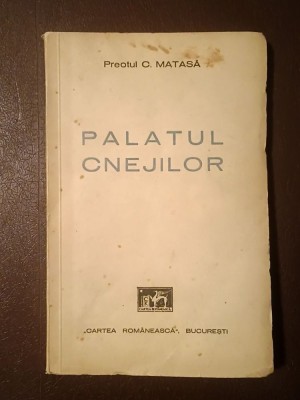 Preotul C. Matasă - Palatul cnejilor foto