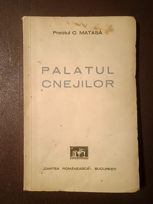 Preotul C. Matasă - Palatul cnejilor