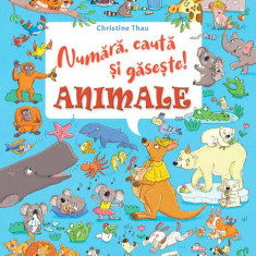 Numără, caută și găsește! Animale - Hardcover - Christine Thau - Univers