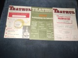 LOT 5 REVISTE TEATRUL 1980 NR 3 4 6 7-8 10