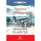 Rom&acirc;nia pitorească - Paperback brosat - Alexandru Vlahuţă - Pescăruș