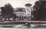 Turnu-Magurele. Aspect din parc (scrisa)