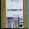 Ion Pop &ndash; Recapitulari ( critica literara )