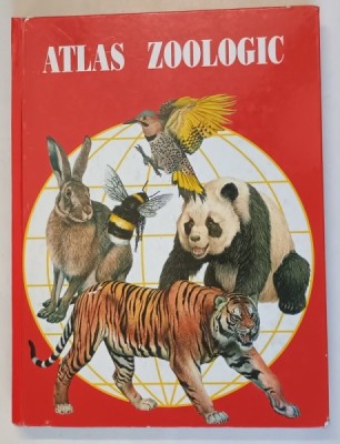 ATLAS ZOOLOGIC de ANUTA IONESCU - ANDREI , 1996 * COTOR REFACUT foto