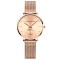 Ceas dama Hannah Martin Otel Quartz Analog Elegant Bratara reglabila Auriu Rose