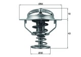MAHLE TX 114 82D termostat,lichid racire