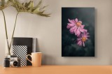 Tablou Canvas, "Petale dans&acirc;nd sub lumina lunii", Floare, Petale, Roz, Delicat, Natural, Frumusețe, Lumină, Contrast, Natură, Eleganță, 26 x 39 cm, CM