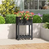 Jardiniera cu raft Gossi, 54x34.5x81 cm, lemn pin masiv, gri. Ghiveci flori gradina, suport plante