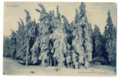 AD 914 C. P. VECHE -SCELLERHAU -RAUHFROST IM SACHS . ERZGEBIRGE -CIRCULATA 1925 foto