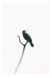 Tablou Canvas, "Pasăre singuratică pe creanga &icirc;naltă", Pasăre, Ramură, Cer, Siluetă, Minimalism, Natură, Liniște, Contrast, Puritate, Eleganță, 26 x 3