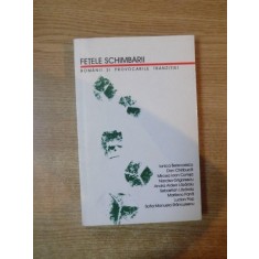 FETELE SCHIMBARII , ROMANII SI PROVOCARILE TRANZITIEI de IONICA BEREVOESCU , LUCIAN POP ...