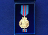 Decorație - Medalie - Emblema de Onoare a Forțelor Aeriene - Aviație
