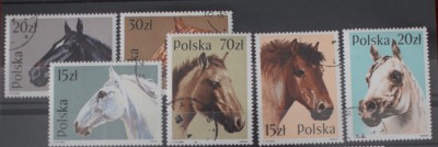 TS24/01 Timbre Serie Polonia - cai foto