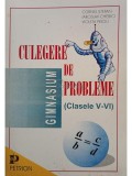 Cornel Stefan - Culegere de probleme clasele V-VI