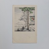 Carte Postala tematica peisaj de iarna, litografie, necirculata, ca. 1920
