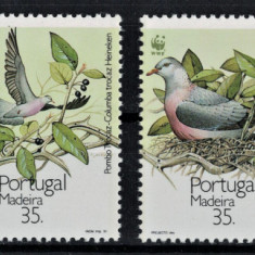 PORTUGALIA MADEIRA 1991 - Pasari protejate, porumbei/serie completa MNH