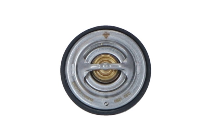NRF 725215 EASY FIT termostat,lichid racire