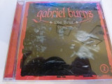 Die Brut - Gabriel Burns, 3600
