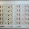 TIMBRE ROM&Acirc;NIA LP1623 b/2003 Moda Secolului XX - 2 COLI -MNH (vezi descriere)