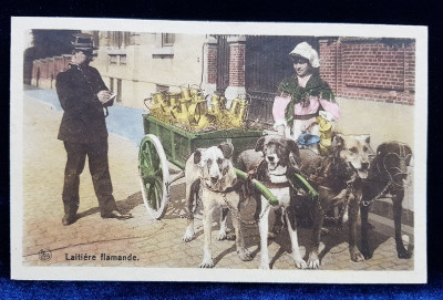 LAPTAREASA FLAMANDA , CARTE POSTALA ILUSTRATA , POLICROMA , CIRCULATA , DATATA 1912 foto